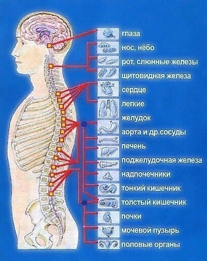 Почему земля не отпускает никого добровольно